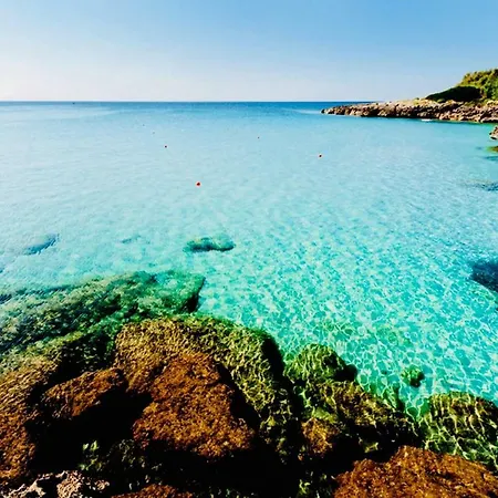 Lido Silvana Marina Di *